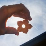 Dettaglio dei Narciselli, canestrelli reinterpretati